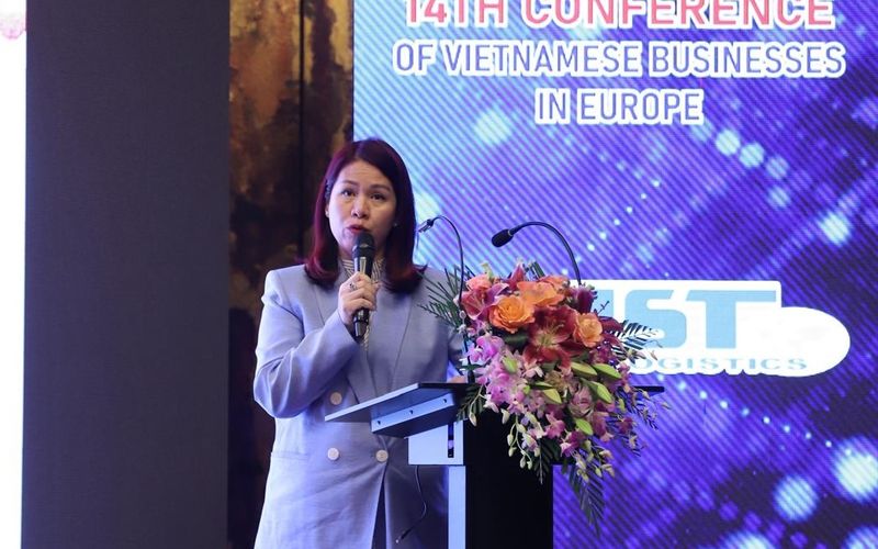 Whats App Image 2025 10 28 at 20.38.45 (5)